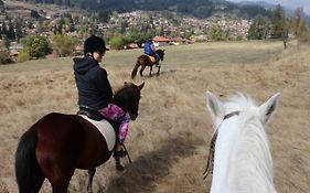 Dona Guest House - Horse Riding